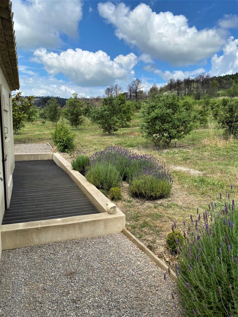 Un camí que condueix a un edifici amb una entrada de grava i un petit jardí amb lavanda i altres arbustos.