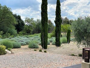 Property grounds - The Truffle Workshop - ARGELIERS (ARGELIERS)
