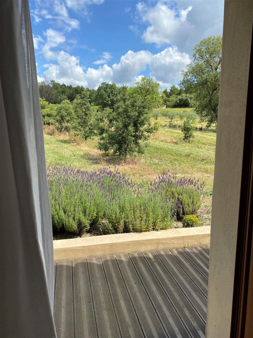 A view from a window overlooking a garden with lavender plants and trees.