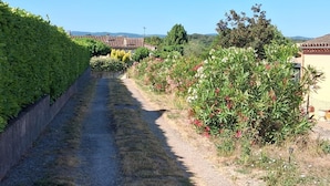 Un étroit sentier de gravier, bordé de haies denses et d’arbustes en fleurs, mène à un bâtiment traditionnel doté d’un toit en tuiles.