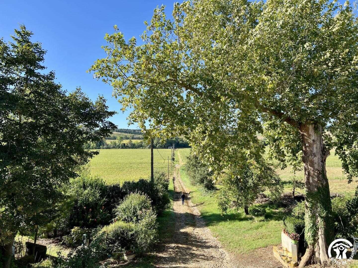 A rural landscape with a dirt path leading through a field, surrounded by trees and shrubs.