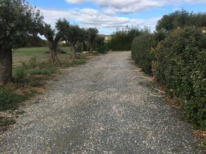 A gravel path flanked by trees and shrubs, leading towards a distant building. - Petite Pinède - CANET D'AUDE (CANET D'AUDE)
