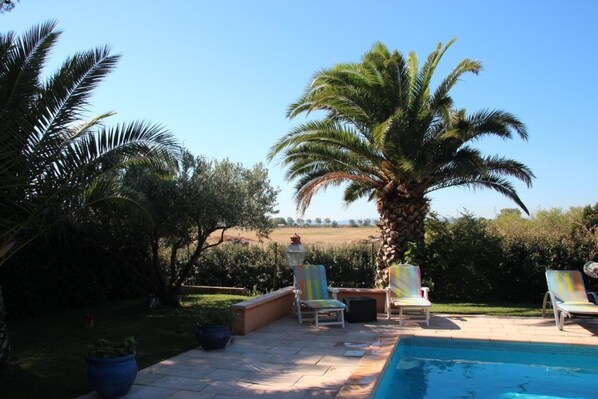 A pool area with lounge chairs and a palm tree.