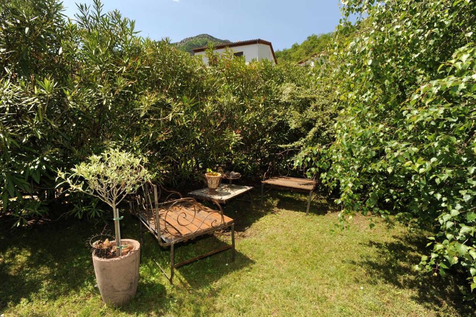 A garden with a metal table and bench, surrounded by dense foliage and a potted plant.