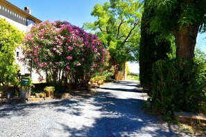 المنطقة المحيطة بالمنشأة