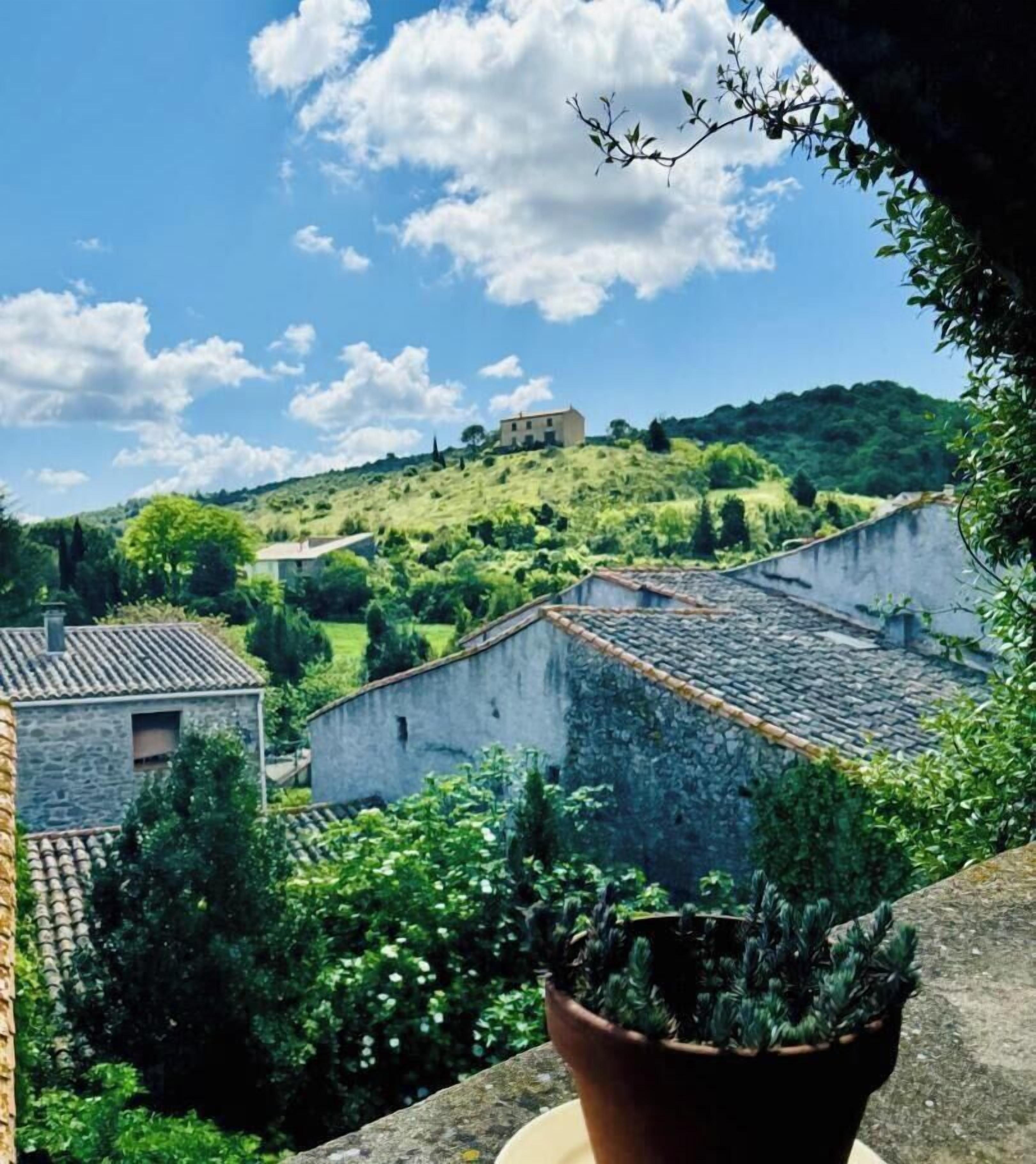 A potted plant on a balcony overlooking a village with stone buildings and a hill in the background.