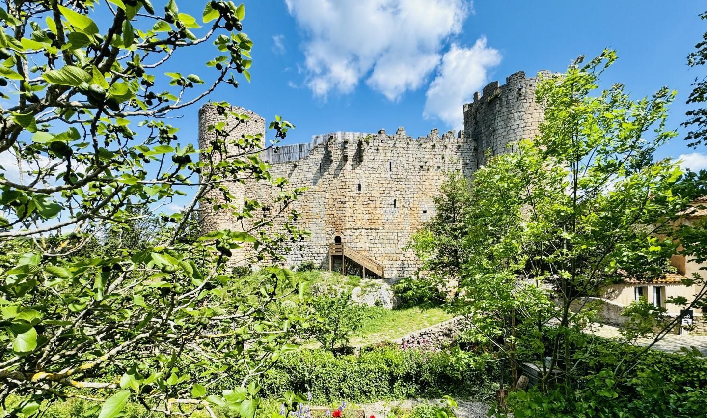 Un castillo de piedra histórico con un puente de madera que lleva a su entrada, rodeado de exuberante vegetación y plantas en flor.