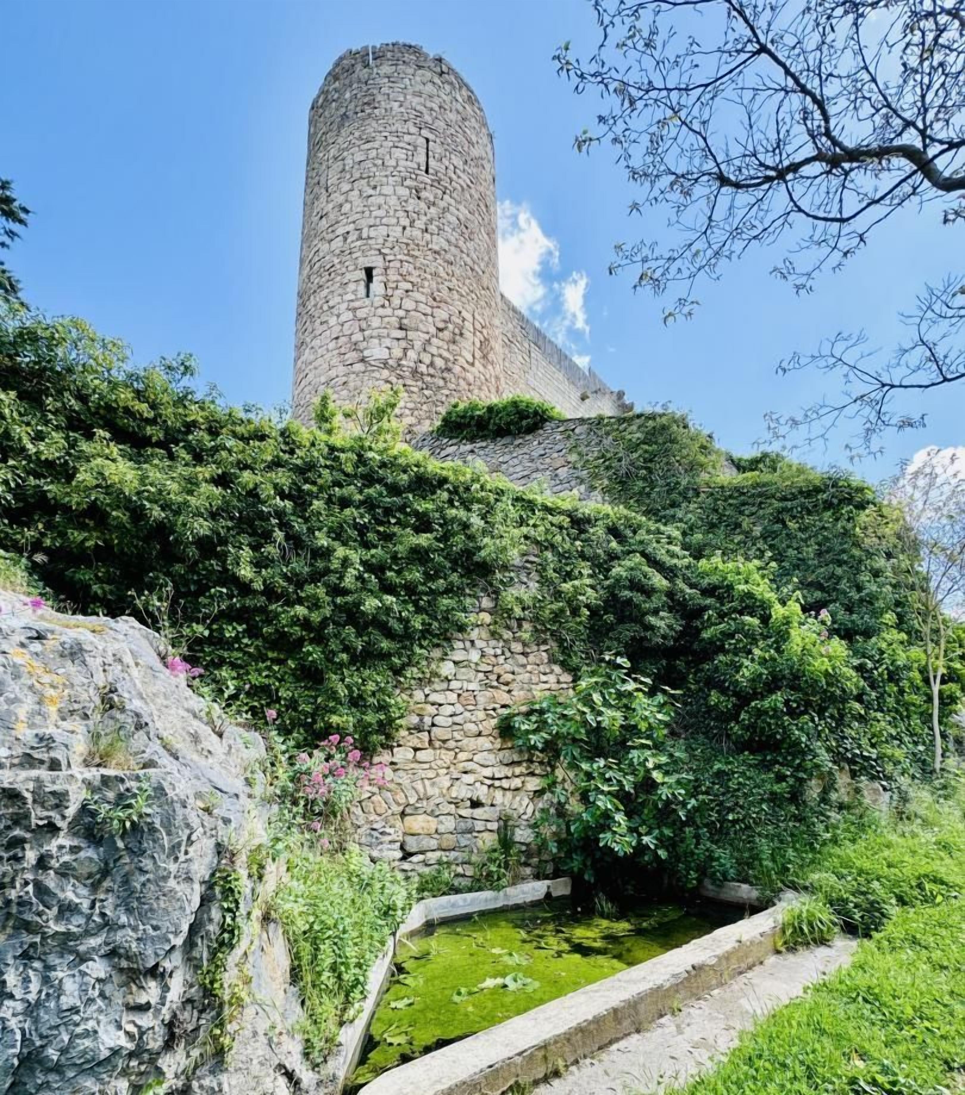 A stone tower with a surrounding stone wall and vegetation.