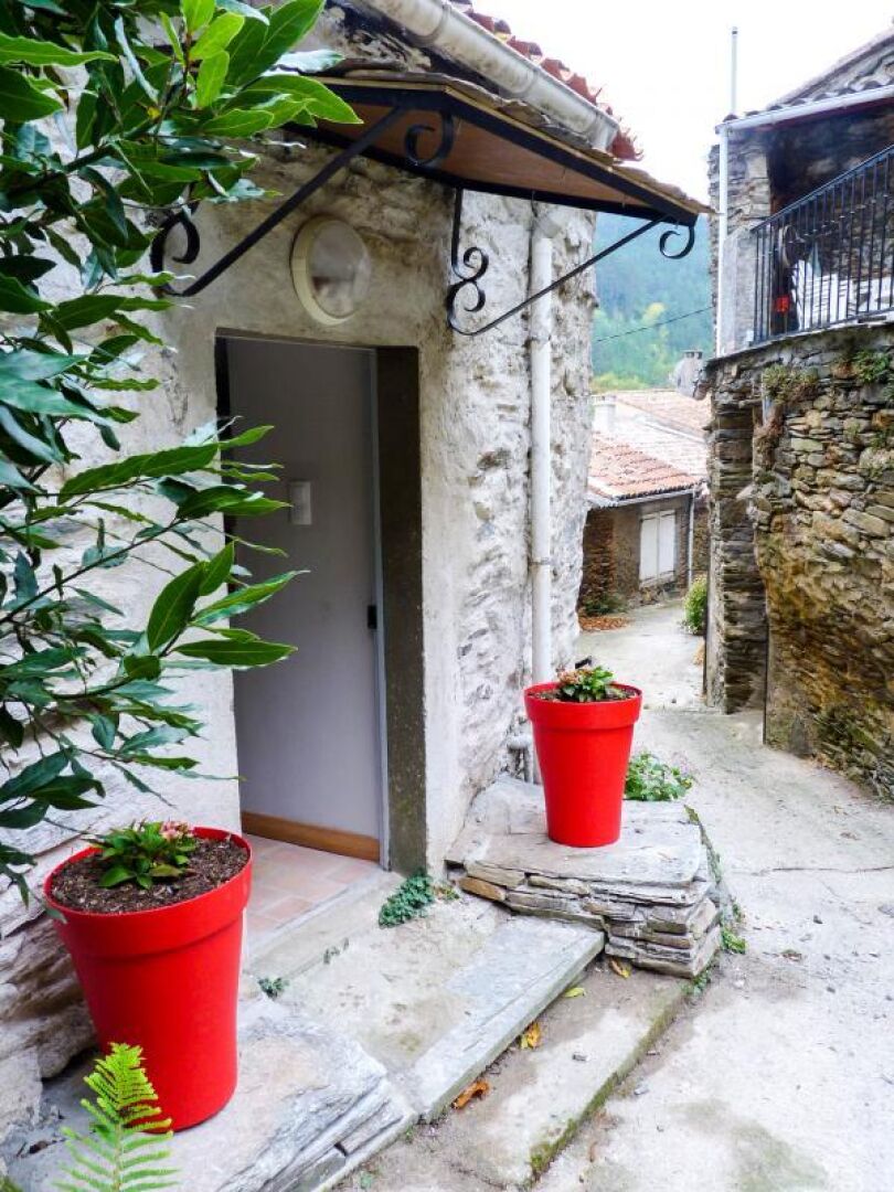 A narrow stone pathway leading to a door, flanked by potted plants and a stone wall.