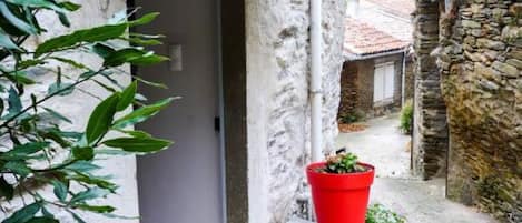 A narrow stone pathway leading to a door, flanked by potted plants and a stone wall.