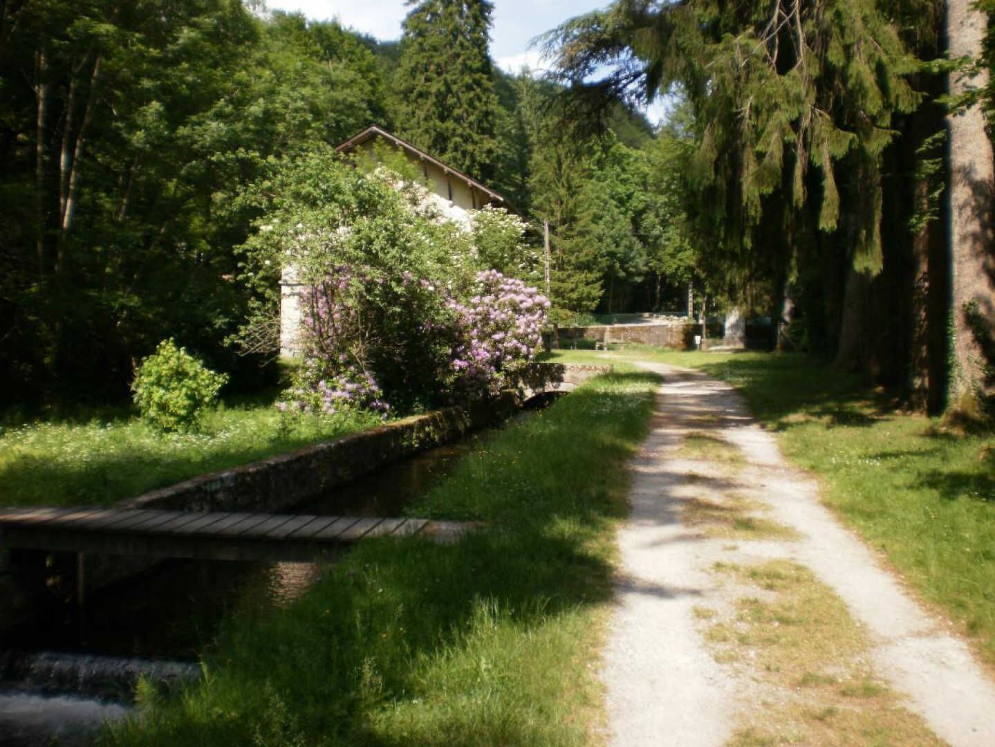Un sentier rural bordé d’une végétation luxuriante et un petit pont enjambant un canal.