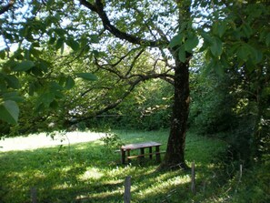 Àrea exterior de l'allotjament