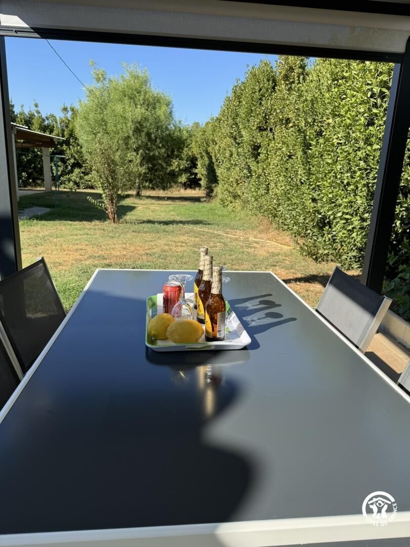 Una mesa con una bandeja que contiene limones, una botella y una lata, frente a un jardín con árboles y un cielo despejado.