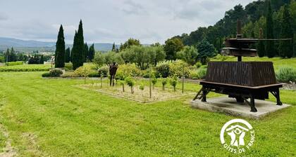 Gite le Bouis - VILLENEUVE MINERVOIS