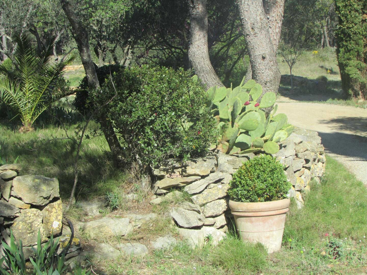 Áreas de la propiedad