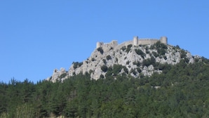 Eine Burg auf einem felsigen Hügel, deren Fuß von dichtem Wald umgeben ist.