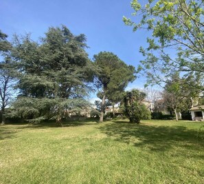 A well-maintained grassy area with mature trees and a small building with a tiled roof.