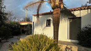 A residential building with a tiled roof, a palm tree, and a small window.