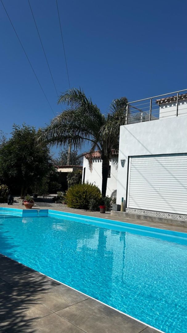 Une piscine à l’eau d’un bleu cristallin, entourée d’un bâtiment blanc doté d’une porte de garage, de palmiers et surplombée d’un ciel dégagé.