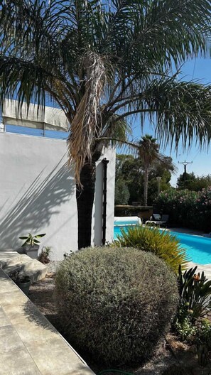 A poolside area with a palm tree, a small bush, and a concrete structure. - Les Cycas - PONTEILLA (PONTEILLA)