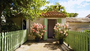 A house with a tiled roof, a green door, and a white picket fence. There are two potted plants with pink flowers in front of the door. - Chai du Canal - SALLELES D'AUDE (SALLELES D AUDE)