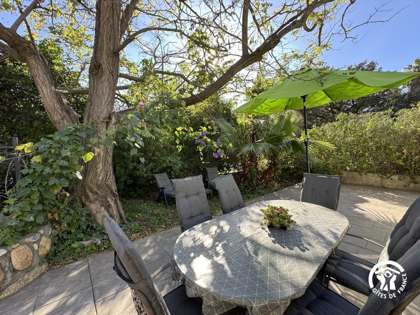 An outdoor patio with a table and chairs, surrounded by greenery and a tree.