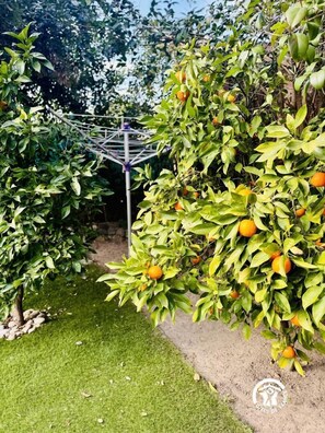 Property grounds - L'Androna - CANET - Gîte (CANET)