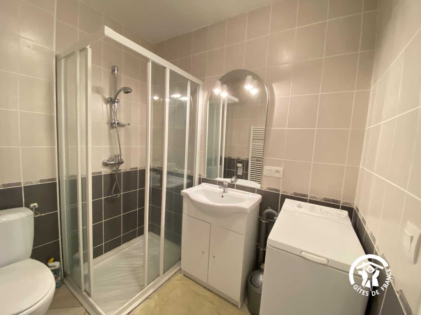 Een badkamer met een douche met glazen wand, een wastafel en een toilet.