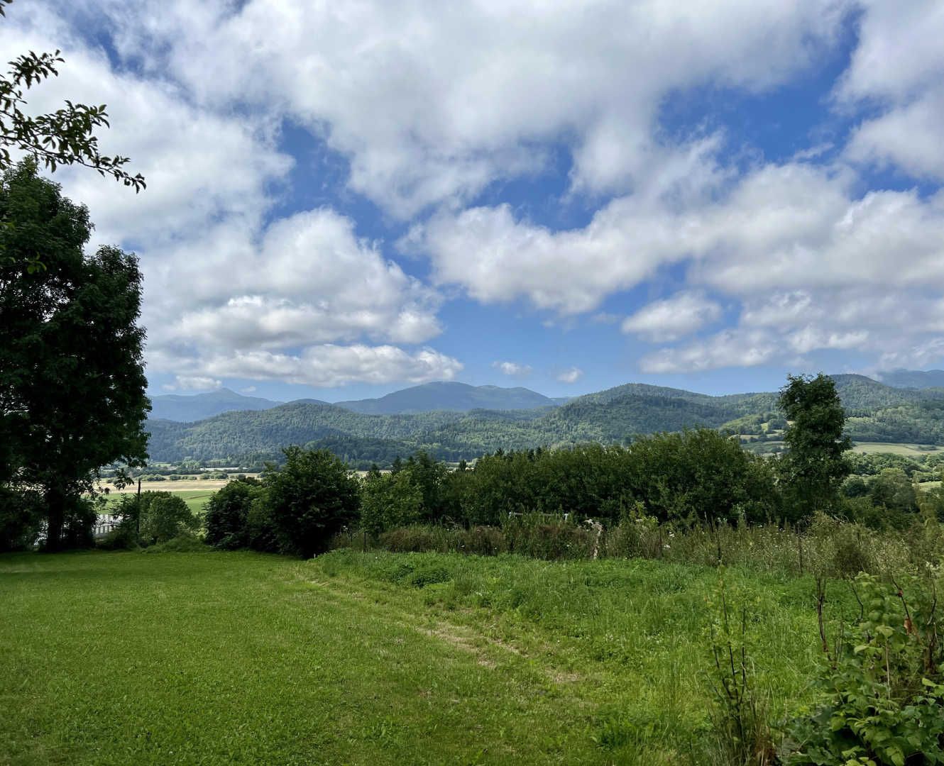 A grassy field with trees and mountains in the distance under a partly cloudy sky.