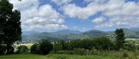 A grassy field with trees and mountains in the distance under a partly cloudy sky.
