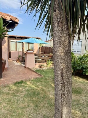 Um quintal residencial com um pátio, uma palmeira e uma casa com telhado de telhas.