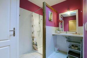 Shower - Cécile - MONTGAILLARD - Gîte (MONTGAILLARD)
