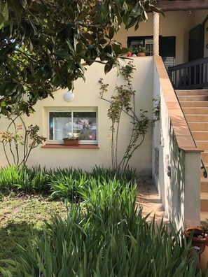 A building with a window, a staircase, and some greenery.