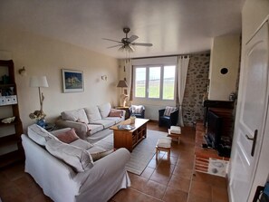 Télévision, cheminée