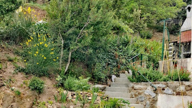 Un escalier en pierre menant au sommet d’une colline, entouré de verdure et de fleurs jaunes.
