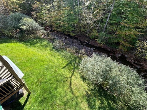 Base Mountain 2 Bedroom with Winter Shuttle to/from Snowshoe Village