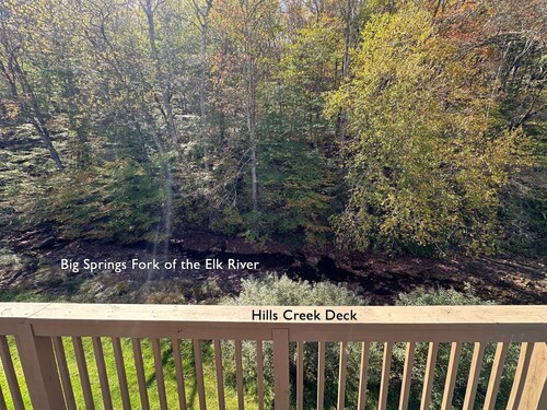 Base Mountain 2 Bedroom with Winter Shuttle to/from Snowshoe Village