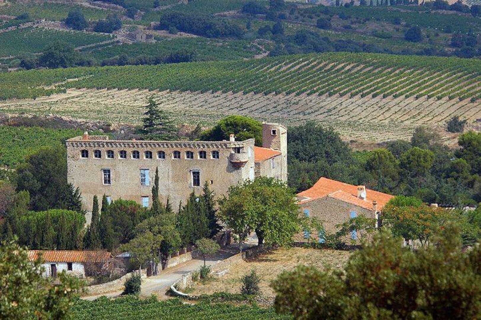 Un edificio histórico de piedra con una torre, rodeado de viñedos y árboles.