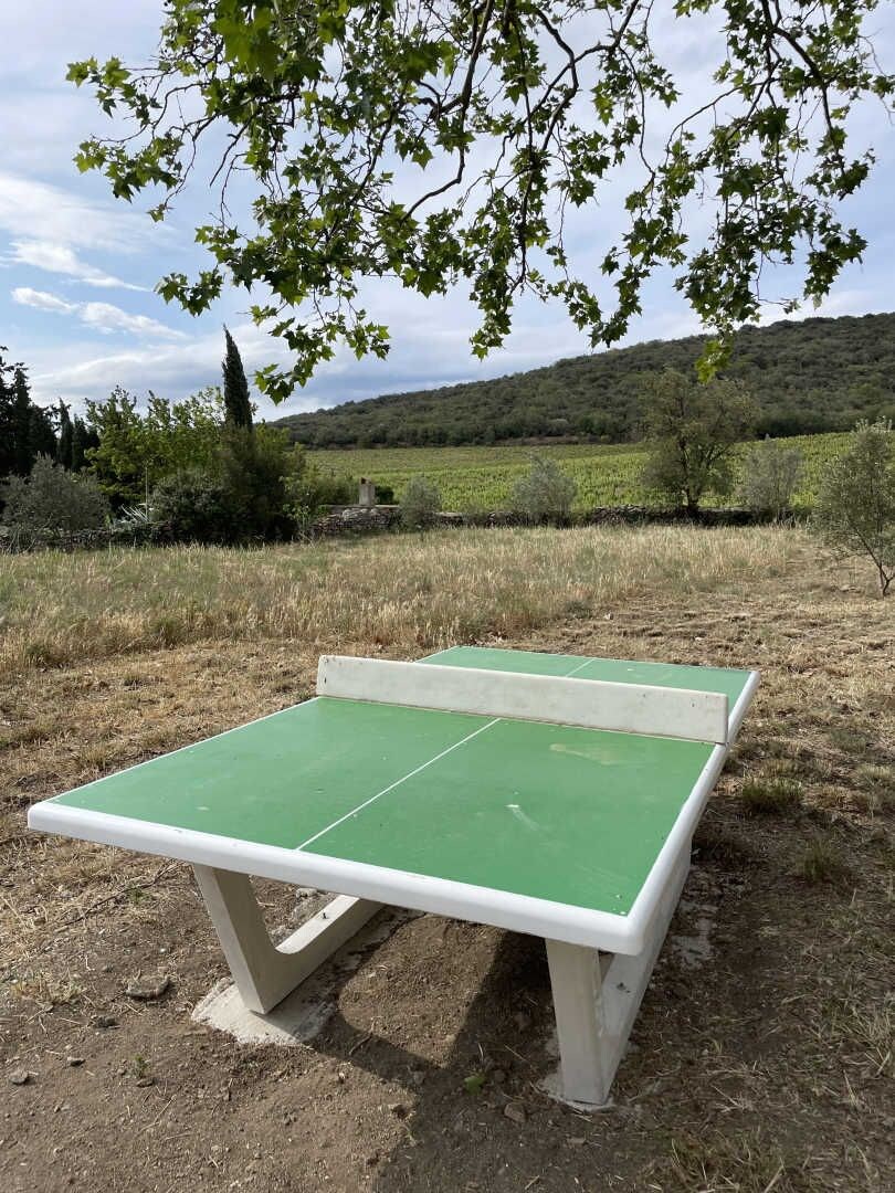 A ping pong table in an outdoor setting with a grassy field and trees in the background.