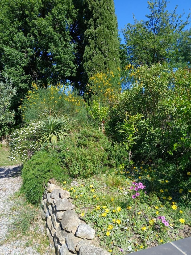 A garden with various plants and flowers, a stone wall, and a tall tree.