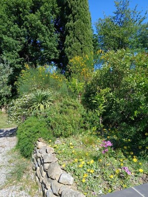 Jardines del alojamiento