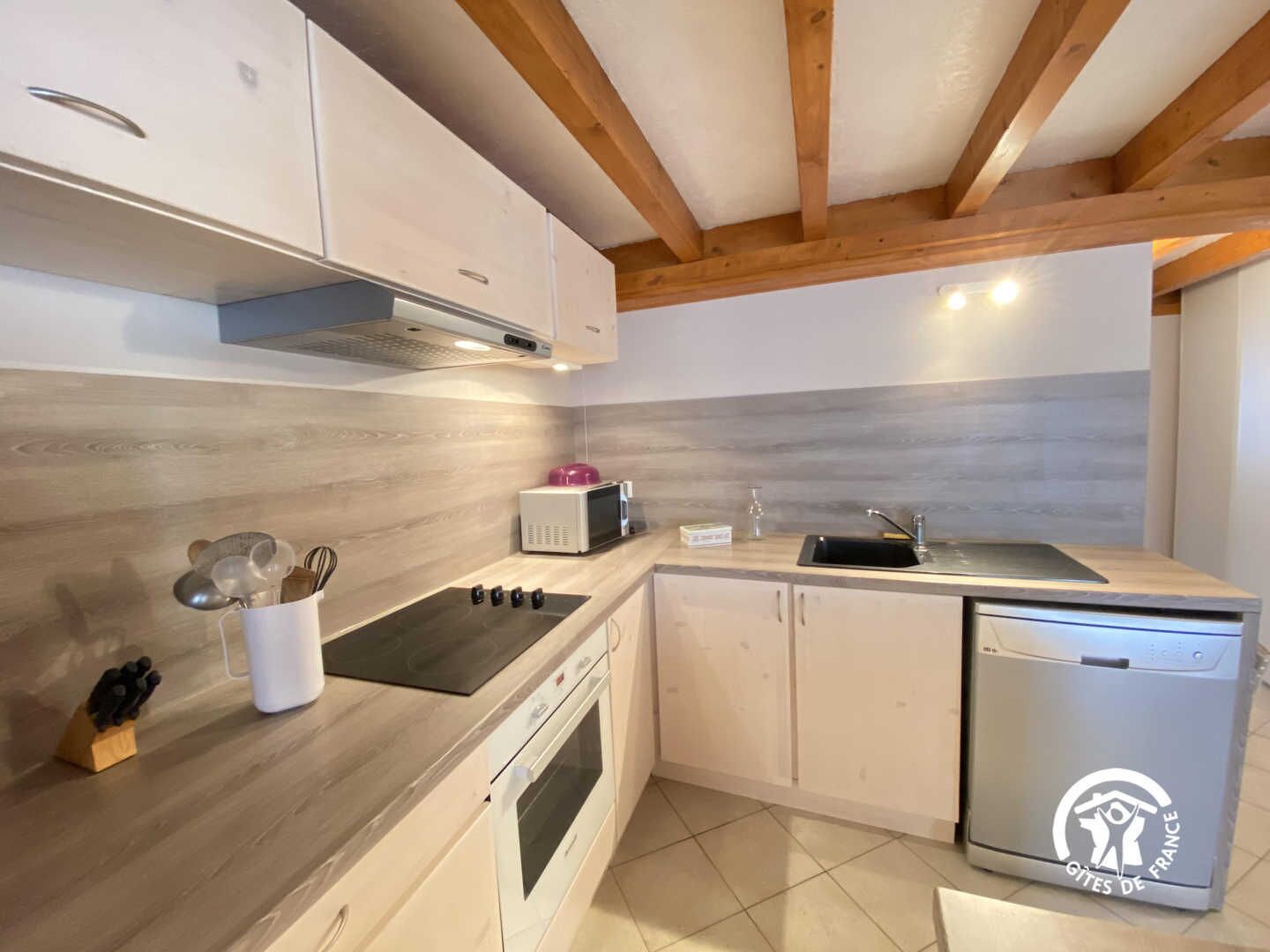 Microondas y lavavajillas