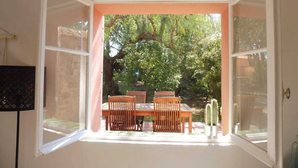 A room with a large window opening to a garden, a wooden table with chairs, and a cactus plant.
