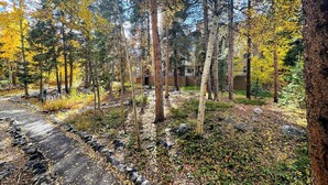 A forested area with a paved path lined with rocks, surrounded by trees with yellow leaves. - Stunning Mtn Condo - Prime Location, Walk to Ski Lifts & Main Street! (Breckenridge)