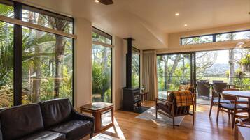 TV, fireplace, offices