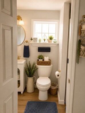 Shower, towels, toilet paper