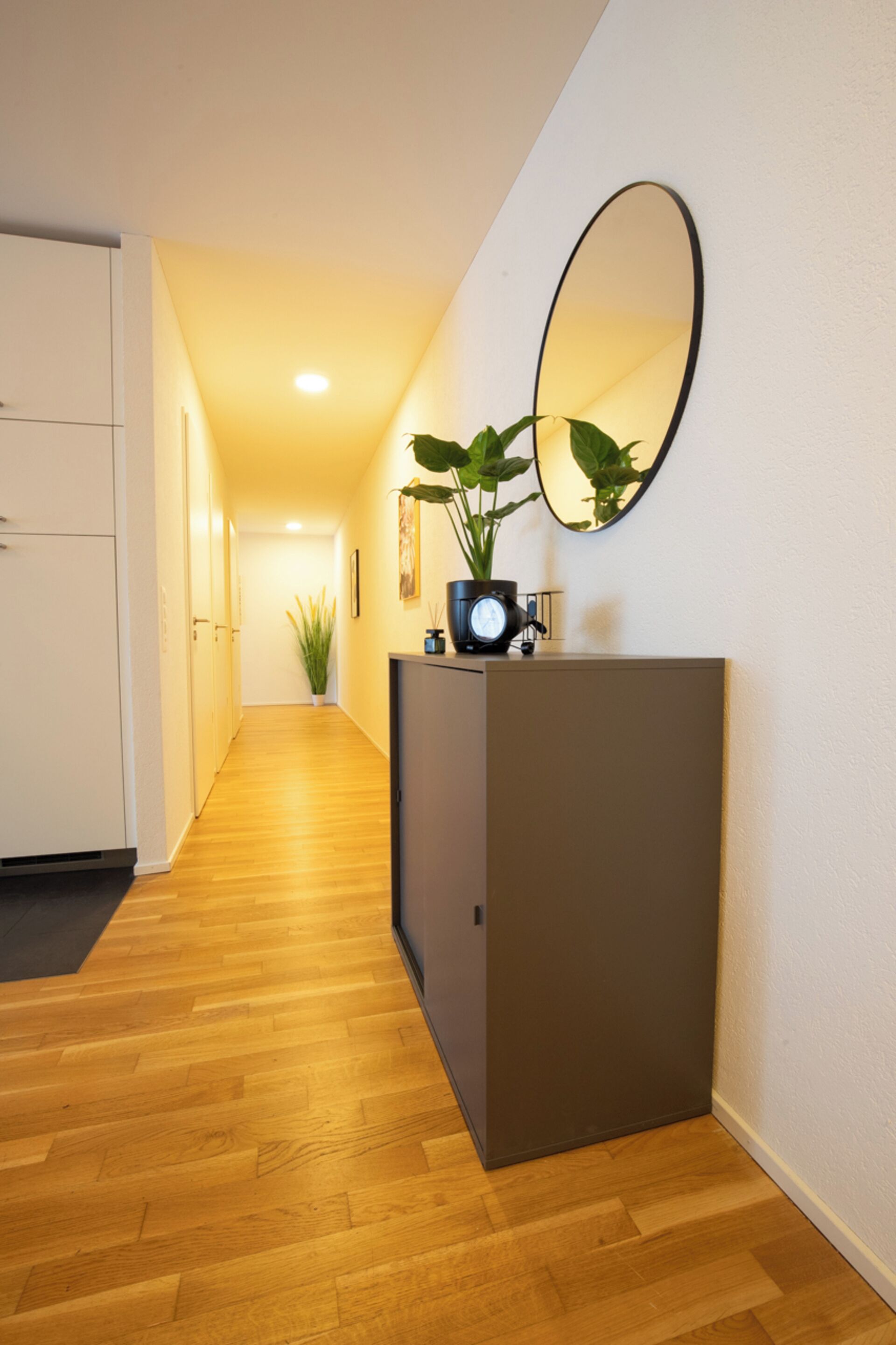 Un pasillo con suelo de madera, un armario gris, una planta en maceta, un espejo en la pared y un reloj.