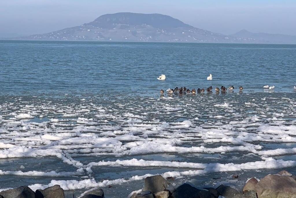 Eine Küstenlandschaft mit Eisflächen und einer Vogelschar auf dem Wasser.