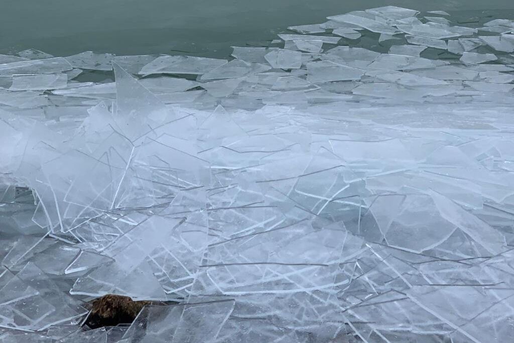 Une étendue d'eau recouverte de glace.
