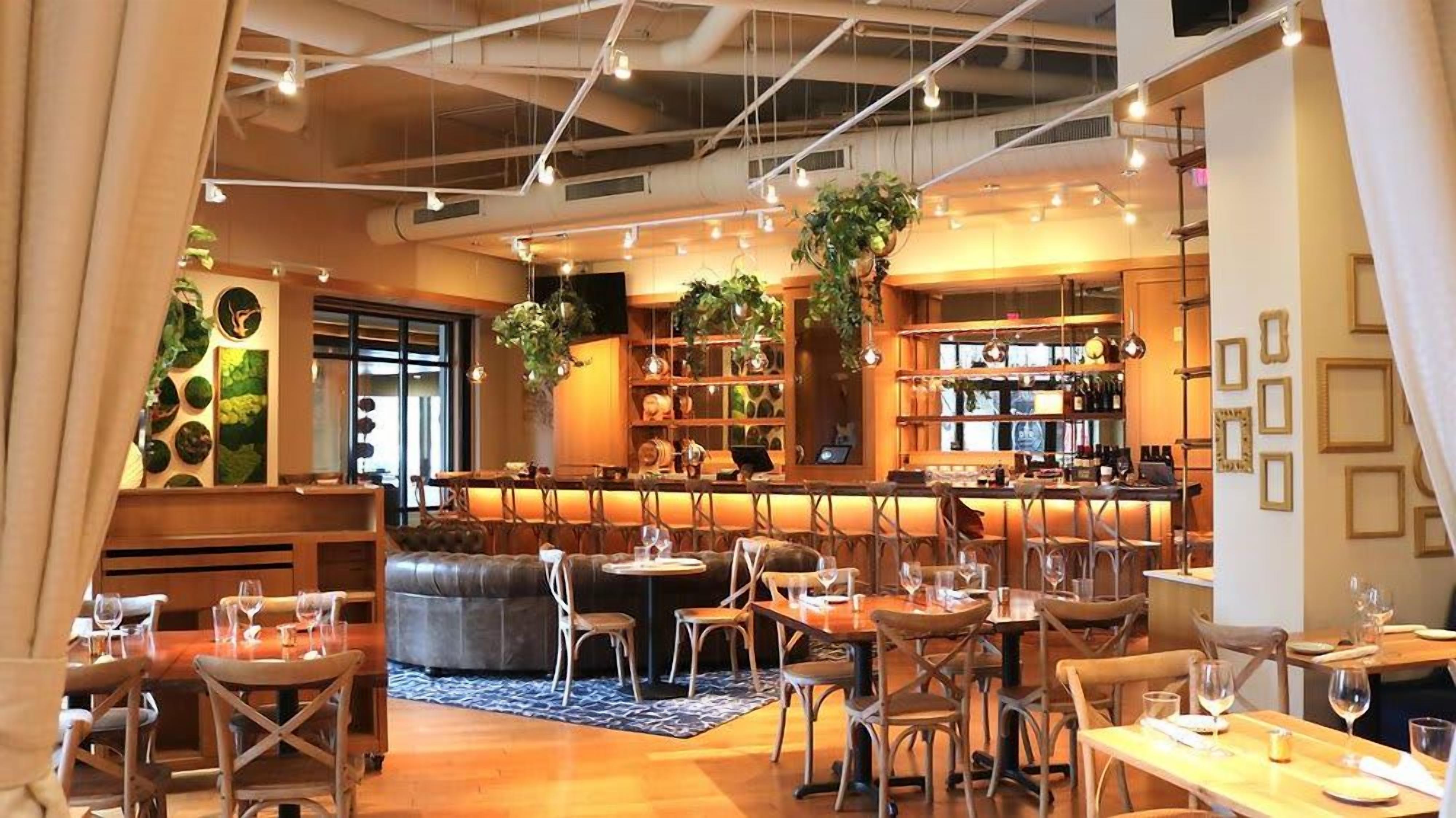 A restaurant with a bar area, seating arrangements, and hanging plants.